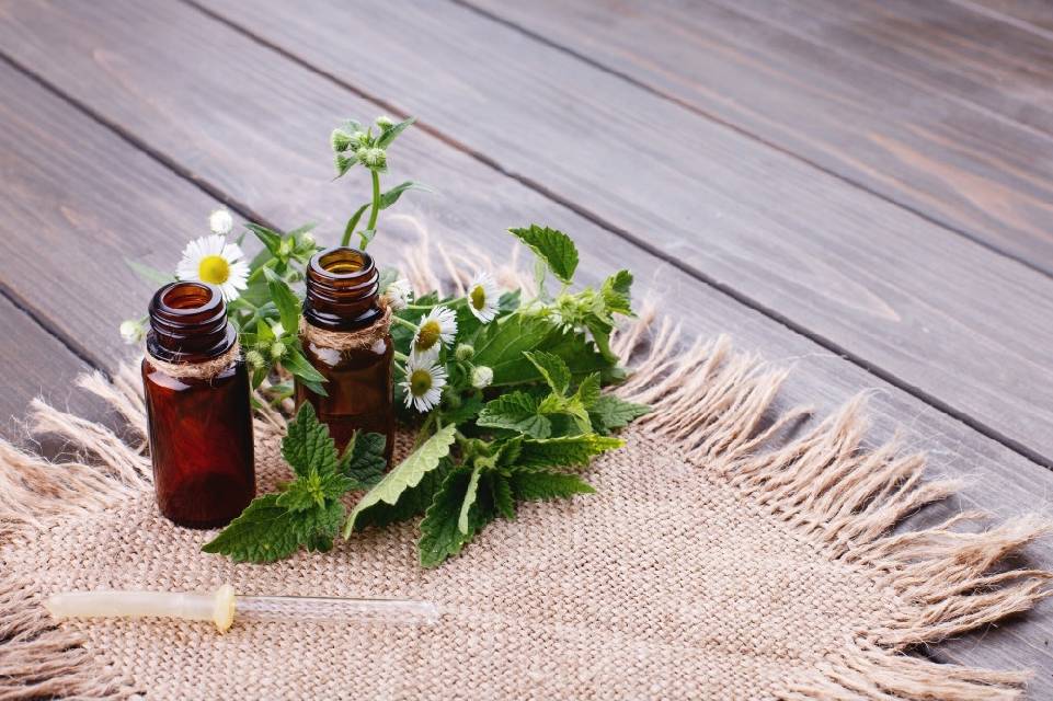 Naturopathe S5 2024