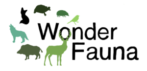 Logo Wonder Fauna