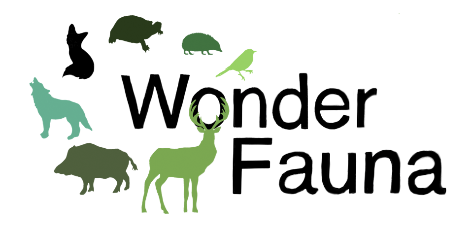 Logo Wonder Fauna